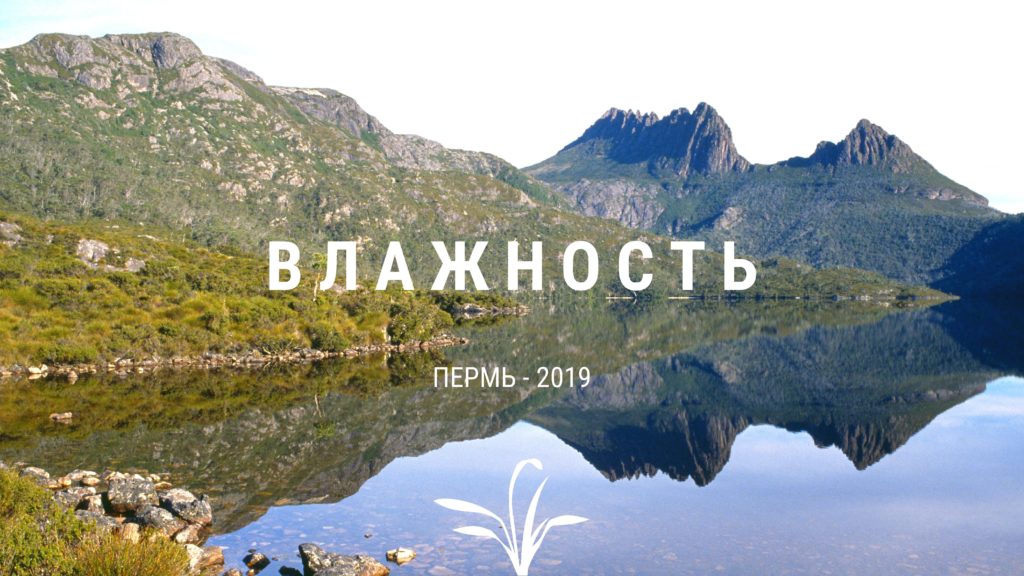 Презентация "Влажность"