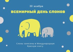 Всемирный день слонов. 30 ноября
