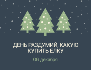 День раздумий, какую купить ёлку. 6 декабря
