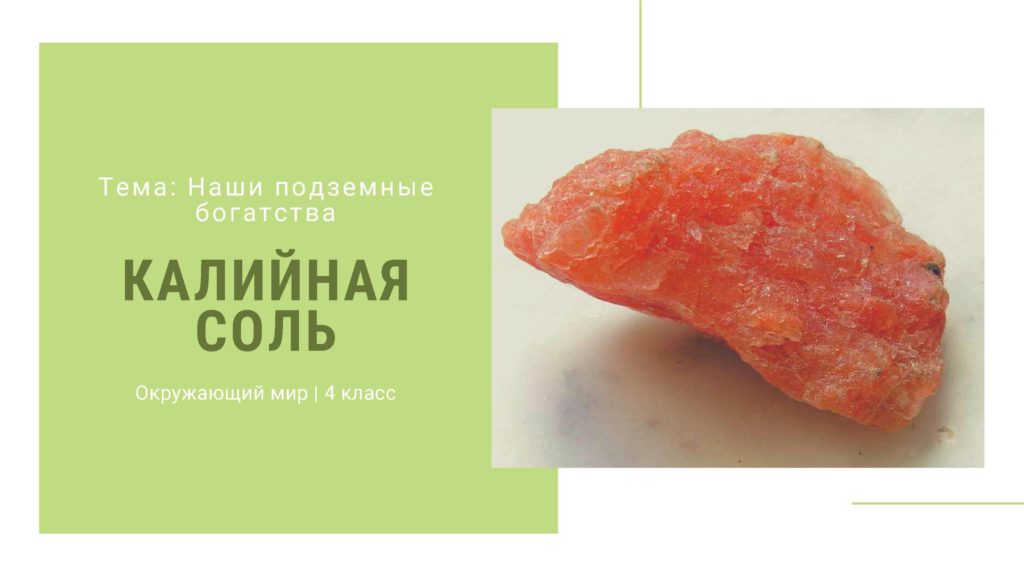 Калийная соль. Окружающий мир 4 класс