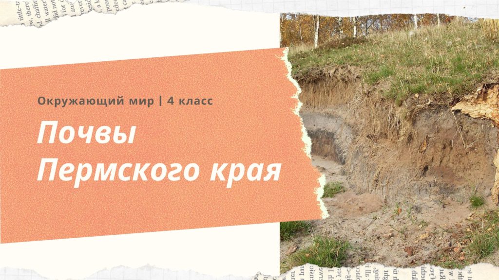 Почвы Пермского края. Окружающий мир 4 класс