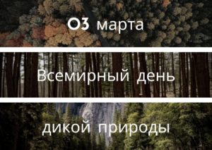 Всемирный день дикой природы. 3 марта