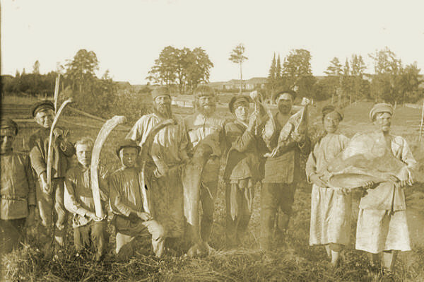 Рисунок 1. Фотография раскопок скелета мамонта, 1927 год. Прикамский мамонт