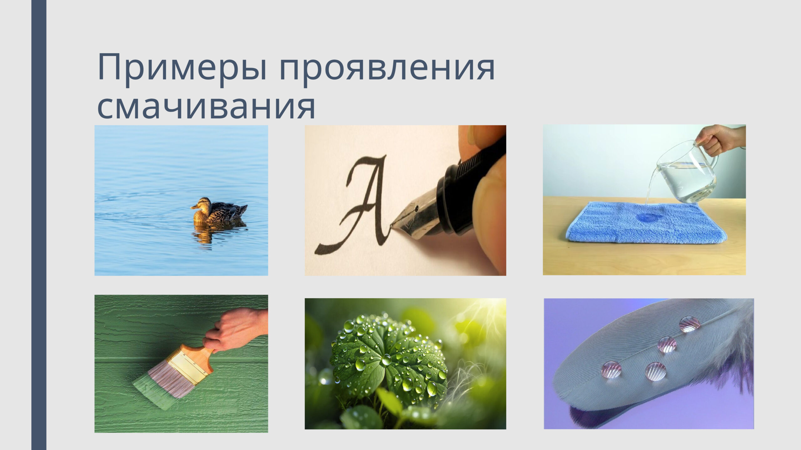 Примеры проявления смачивания