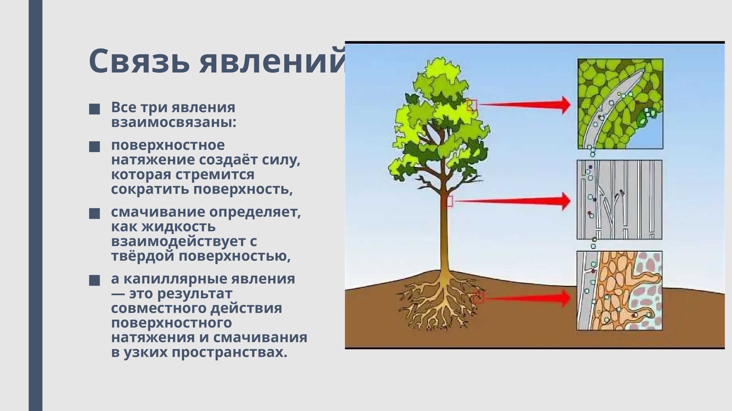 Связь явлений